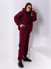 Спортивні штани ISSA Plus модель 14923B_бордовый Спортивні штани ISSA Plus модель 14923B_бордовый Фото