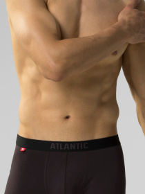 Набор трусов Atlantic модель 5SMH-004_GRF_NIE_NIEC_GRA_KAW Фото