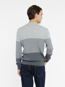 Джемпер Arber модель M10.23.12.431 Фото