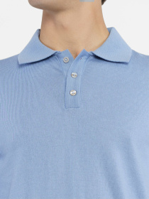 Поло Arber модель M10.61.23.431 Фото