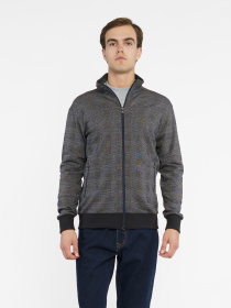 Кофта Arber модель M17.22.12.431 Фото