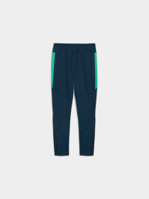 Штаны спортивные PUMA Neymar Jr Bna Trg Pants Jr модель 659707 Фото