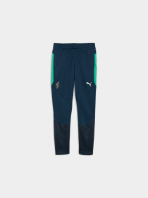 Спортивні штани PUMA Neymar Jr Bna Trg Pants Jr модель 659707 Фото