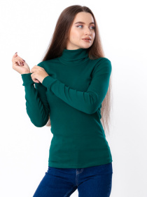 Водолазка Носи своє модель 8047-040-butilochnij Фото