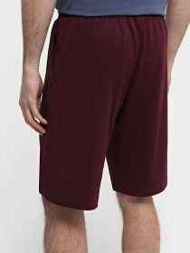 Повсякденні шорти Promin модель 1090-21_113 Фото