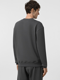 Свитшот Promin модель 1920-04_251 Фото