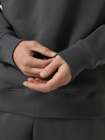 Свитшот Promin модель 1920-04_251 Фото