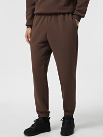 Джоггеры Promin модель 1940-07_354 Фото