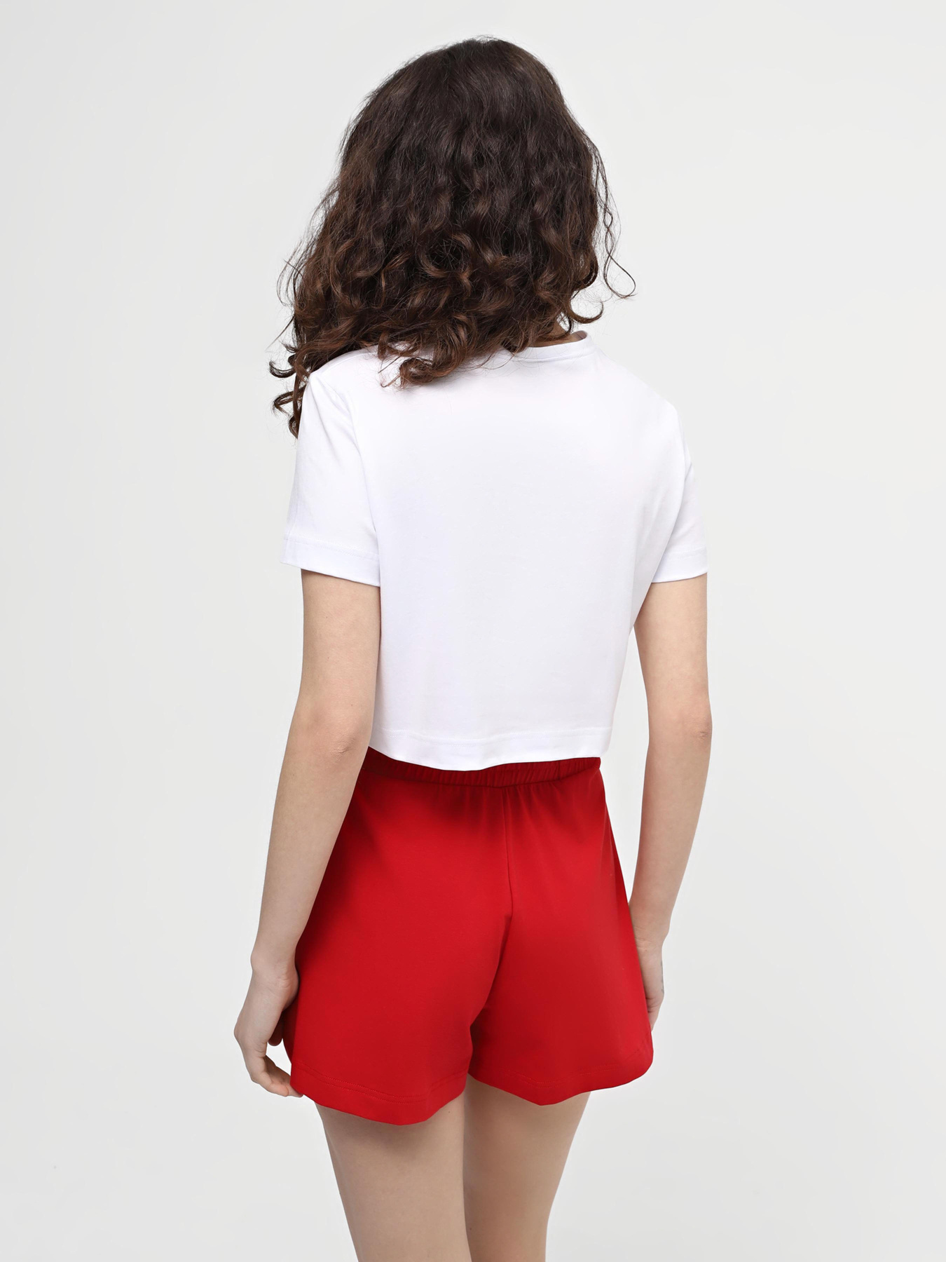 Топ Promin модель 2012-78_200 Фото