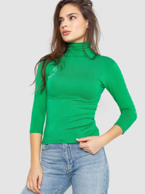 Водолазка Ager модель У-1129370::000000522 Фото