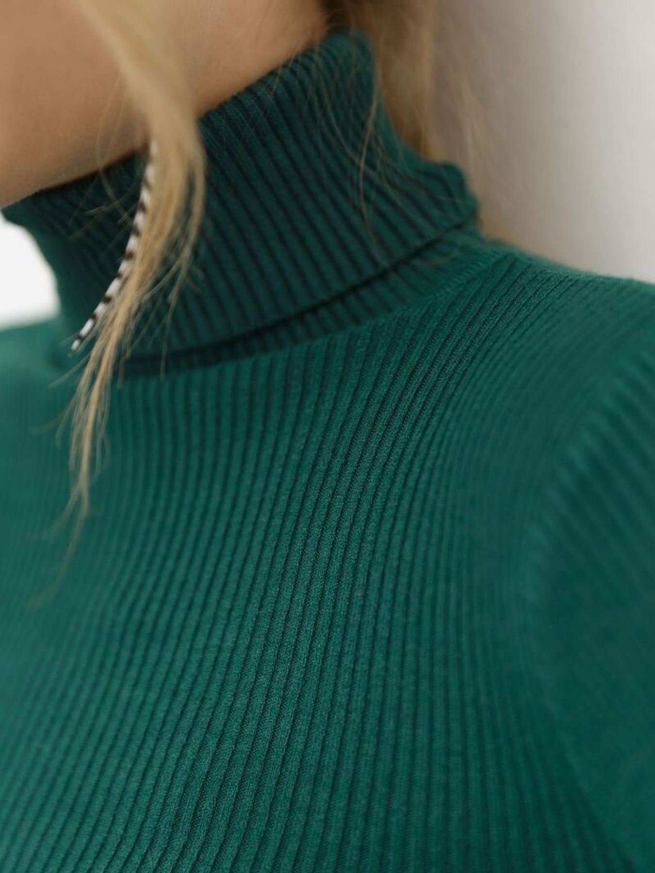 Водолазка Ager модель У-1121085::000000126 Фото