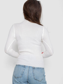 Водолазка Ager модель У-1126212::000000014 Фото