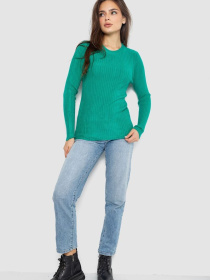 Джемпер Ager модель У-1127572::000000522 Фото