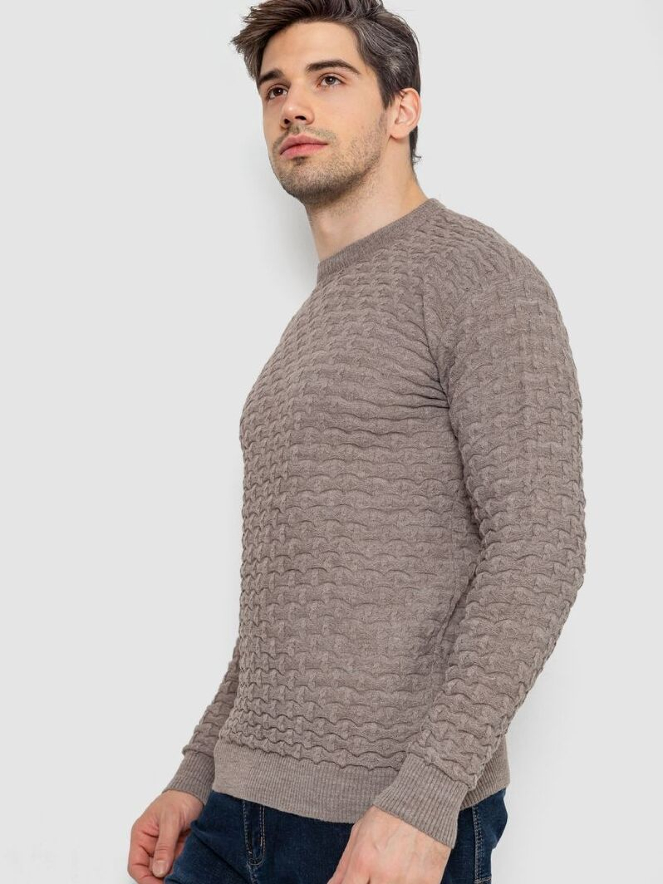 Джемпер Ager модель У-1126338::У-0000141 Фото