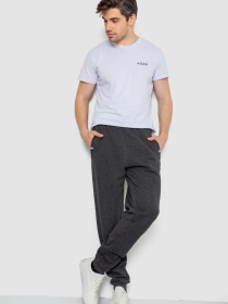 Джоггеры Ager модель У-1132244::000000087 Фото