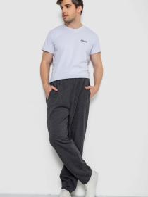 Повседневные штаны Ager модель У-1132236::000000087 Фото