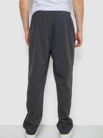 Повседневные штаны Ager модель У-1132236::000000087 Фото