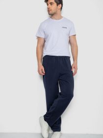 Повседневные штаны Ager модель У-1132236::000000090 Фото