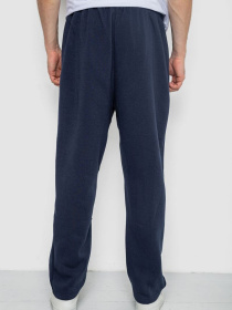 Повседневные штаны Ager модель У-1132236::000000090 Фото