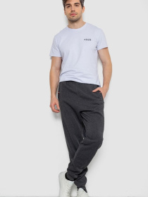 Джоггеры Ager модель У-1132238::000000087 Джоггеры Ager модель У-1132238::000000087 Фото
