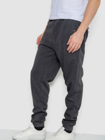 Джоггеры Ager модель У-1132238::000000087 Джоггеры Ager модель У-1132238::000000087 Фото