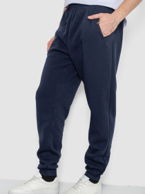 Джоггеры Ager модель У-1132238::000000090 Фото