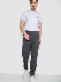 Джоггеры Ager модель У-1132242::000000087 Фото