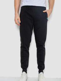 Джоггеры Ager модель У-1132239::000000096 Джоггеры Ager модель У-1132239::000000096 Фото