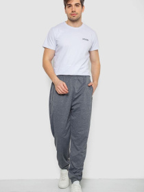 Джоггеры Ager модель У-1132243::000000072 Фото