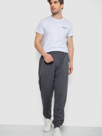 Джоггеры Ager модель У-1132243::000000087 Джоггеры Ager модель У-1132243::000000087 Фото