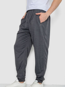 Джоггеры Ager модель У-1132243::000000087 Джоггеры Ager модель У-1132243::000000087 Фото