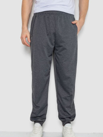 Джоггеры Ager модель У-1132243::000000087 Фото