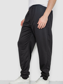 Джоггеры Ager модель У-1132243::000000096 Фото