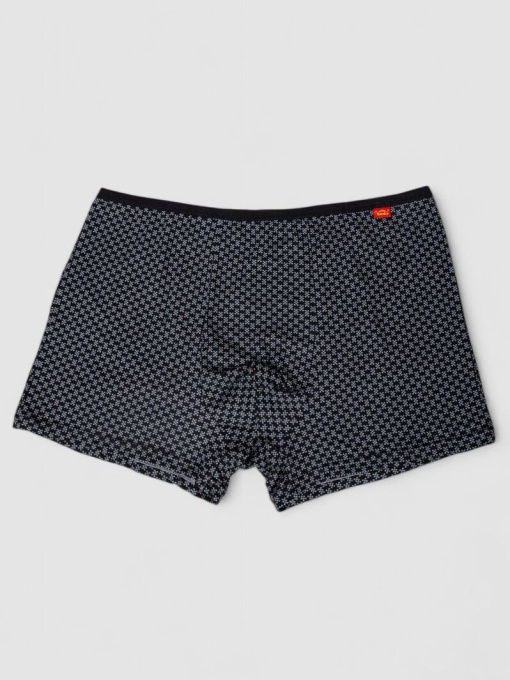 Трусы Ager модель У-1132506::000000096 Фото