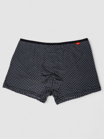 Трусы Ager модель У-1132506::000000096 Трусы Ager модель У-1132506::000000096 Фото