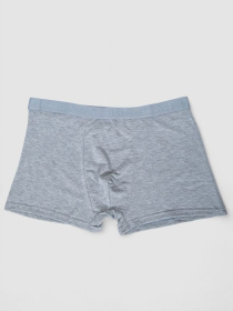 Трусы Ager модель У-1132508::000000069 Фото