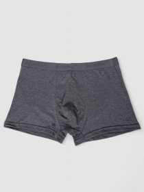 Трусы Ager модель У-1132508::000000087 Фото