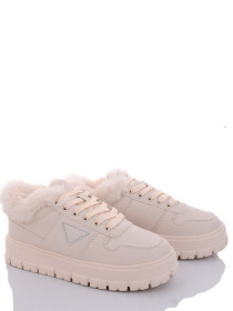 Кеды низкие Stilli модель CXN622-3 Фото