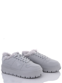 Кеды низкие Stilli модель CXN622-5 Фото