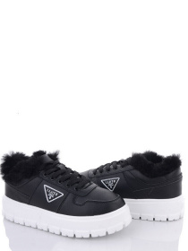 Кеди низькі Stilli модель CXN622-11 Фото