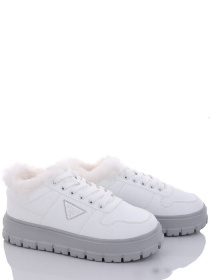 Кеды низкие Stilli модель CXN622-22 Фото