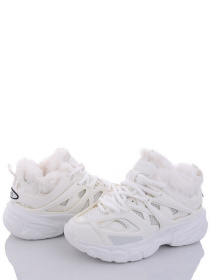 Кросівки повсякденні Stilli модель CX655-2 Фото