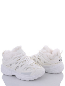 Кросівки повсякденні Stilli модель CX655-2 Фото