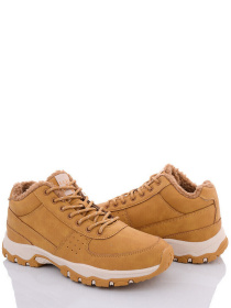 Ботинки Stilli модель CXN672-7 Фото