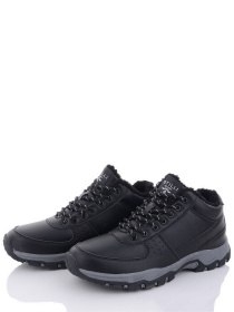 Ботинки Stilli модель CXN672-18 Фото