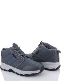 Черевики Stilli модель CXN695-5 Черевики Stilli модель CXN695-5 Фото