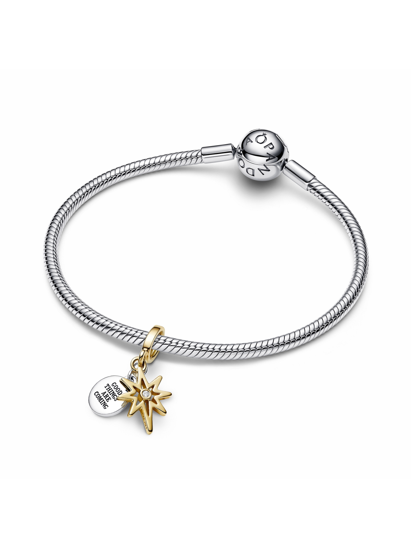 Классические PANDORA модель 763588C01 Фото