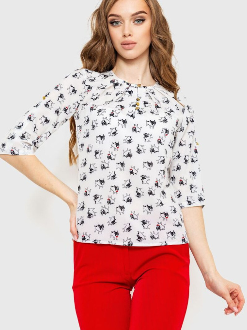 Блуза Ager модель У-1122082::010001948 Фото