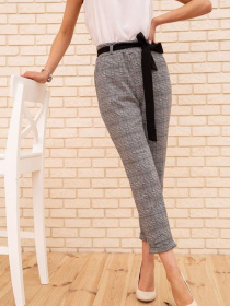 Повседневные штаны Ager модель У-1117832::000000099 Фото