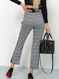 Повседневные штаны Ager модель У-1117829::000000027 Фото